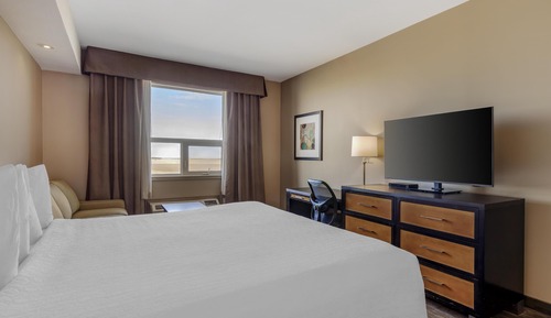 Standard Room, 1 King Bed, Non Smoking (with Sofabed)