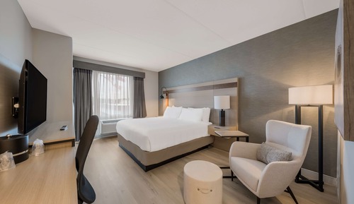 Standard Room, 1 King Bed, Accessible, Refrigerator & Microwave