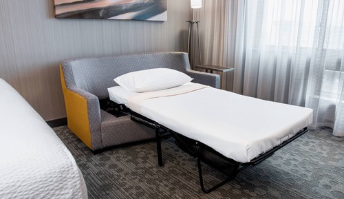 Room, 1 King Bed with Sofa bed