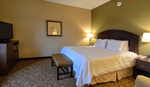 Room, 1 King Bed