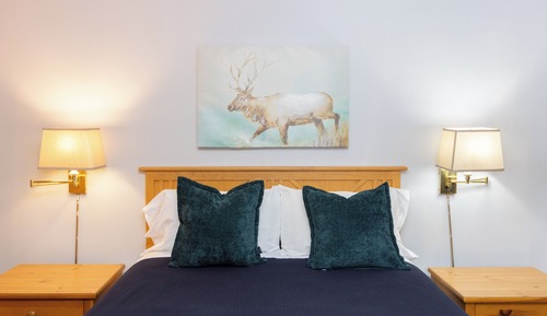 Luxury Suite, 1 King Bed, Jetted Tub, Lake View