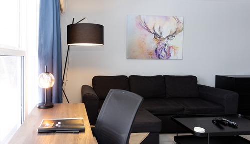 Premium Studio, 1 King Bed with Sofa bed, Fireplace, Lake View