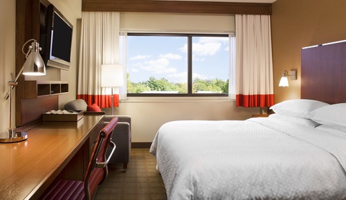Room, 1 King Bed