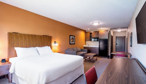 Room, 1 King Bed with Sofa bed