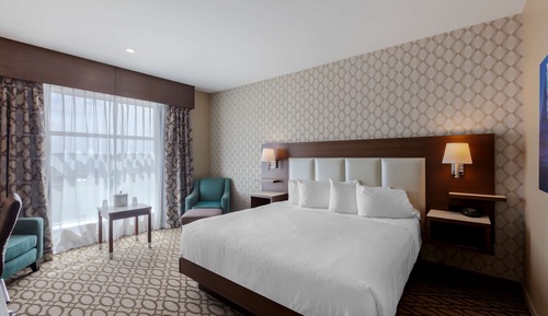 Standard Room, 1 King Bed, Non Smoking, Refrigerator & Microwave