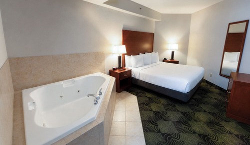 Business Suite, 1 King Bed with Sofa bed, Jetted Tub