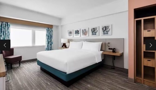 Suite, 1 King Bed with Sofa bed, Accessible