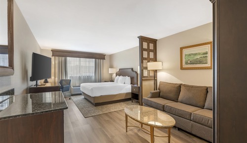 Standard Room, 1 King Bed, Non Smoking, Refrigerator & Microwave (with Sofabed)