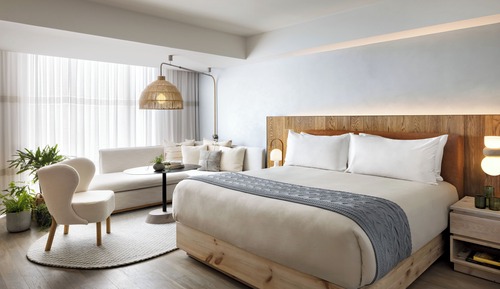 Studio, 1 King Bed