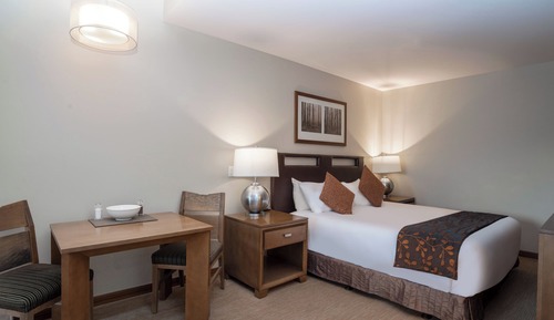 Premium Studio Suite, 1 King Bed with Sofa bed (Classic)