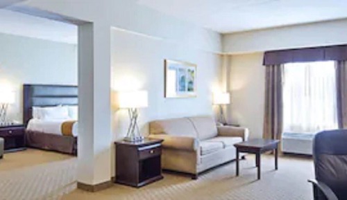Suite, 1 King Bed with Sofa bed