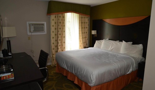 Room, 1 King Bed