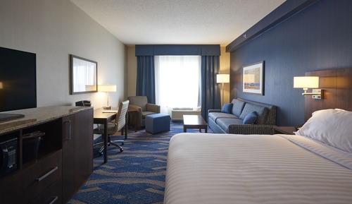 Suite, 1 King Bed with Sofa bed