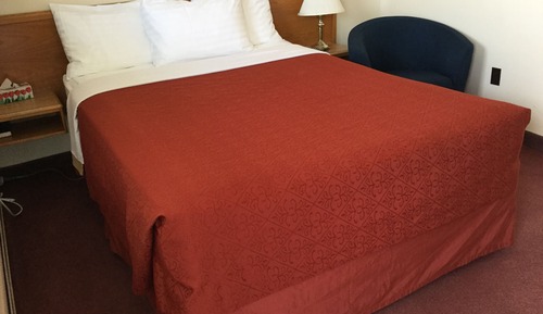 Room, 1 Queen Bed