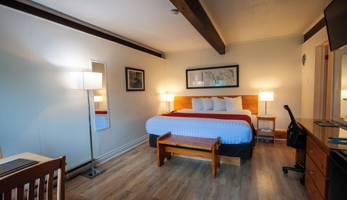 Standard Room, 1 King Bed (Pet Friendly)