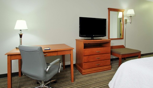 Room, 1 King Bed, Accessible, Non Smoking, Roll-In Shower