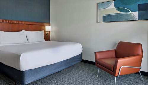 Room, 1 King Bed