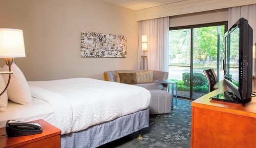 Room, 1 King Bed (Mobility/Hearing Access, Roll-in Shwr)