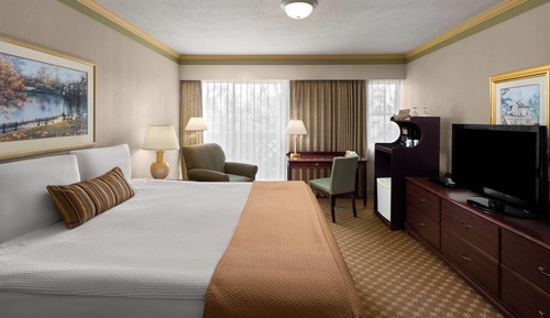 Room, 1 King Bed, Non Smoking