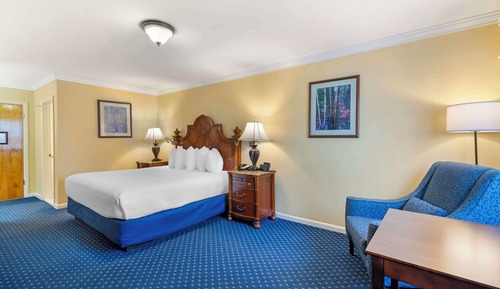 Standard Room, 1 King Bed, Non Smoking, Refrigerator & Microwave (Pet Friendly)