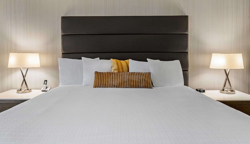 Executive Room, 1 King Bed, Non Smoking, Refrigerator & Microwave