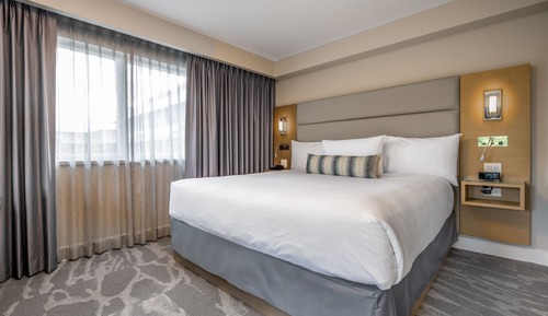 Suite, 1 King Bed with Sofa bed