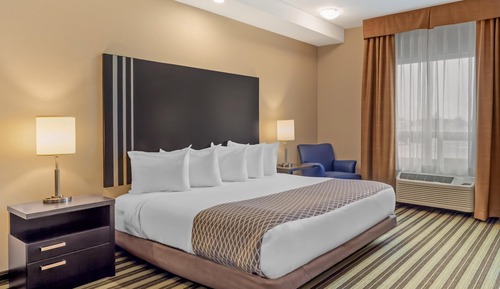 Standard Room, 1 King Bed, Accessible, Kitchenette (Kitchenette)