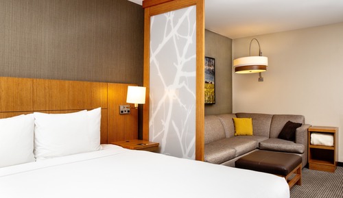 Room, 1 King Bed with Sofa bed (High Floor)