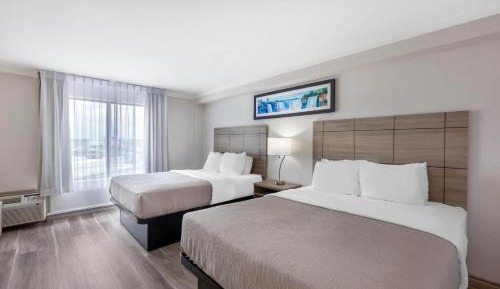 Superior Queen Room with Two Queen Beds - Main Building