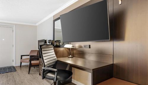 Superior King Suite with Work Desk - Non-Smoking