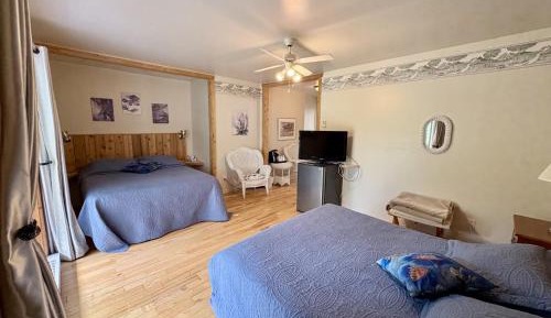 Comfort Quadruple Room