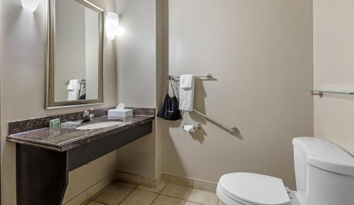 King Room with Roll-In Shower - Mobility Accessible