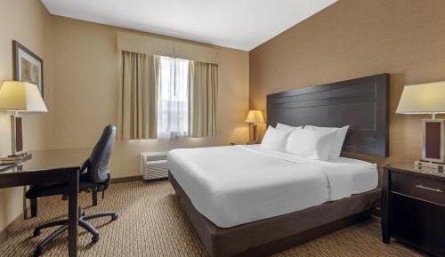 King Suite with Sofa Bed and Kitchen- Non-Smoking
