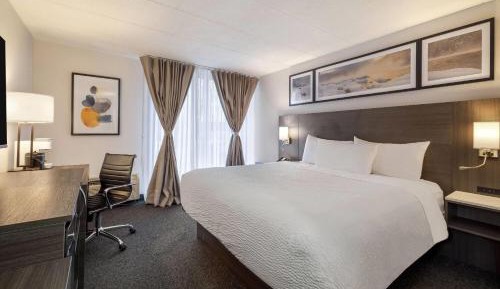 Queen Room with Roll-in Shower - Mobility Access/Non-Smoking
