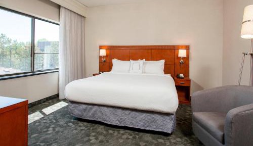 One-bedroom Suite with 1 King Bed