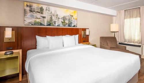 1 King Bed, Non-Smoking, Ground floor/Pet Friendly
