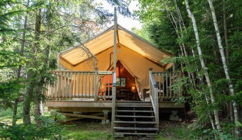 Safari Tent 6