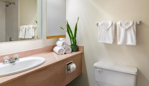 Executive Studio Suite 