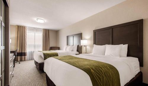 Queen Room with Two Queen Beds - Non-Smoking