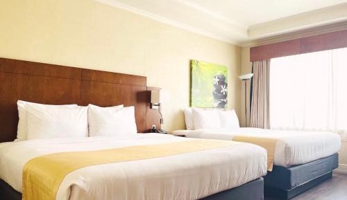 Signature Room