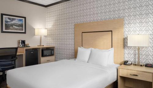 Queen Room with Roll-In Shower - Mobility Accessible/Non-Smoking