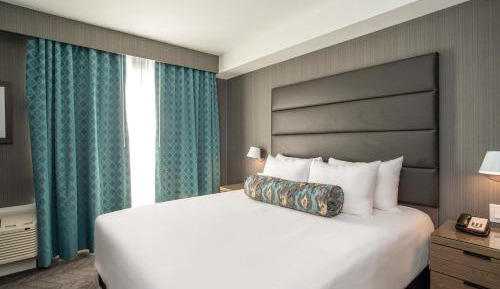 Standard Suite, 1 King Bed, Sofa Bed, Kitchenette