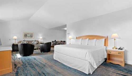 King Suite with Sofa Bed and Hot Tub - Balcony/Lake View/Non-Smoking