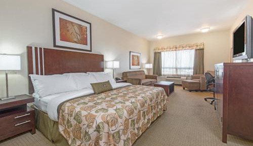 Standard King Room