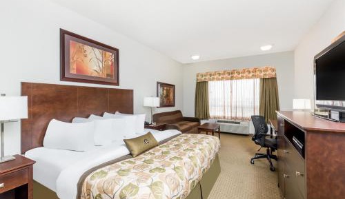 Standard King Room