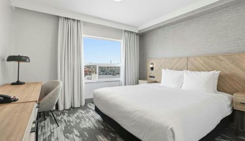 Standard Suite, 1 King Bed, Sofa Bed, Kitchenette