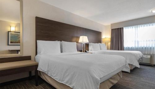 Queen Room with Two Queen Beds - Non-Smoking
