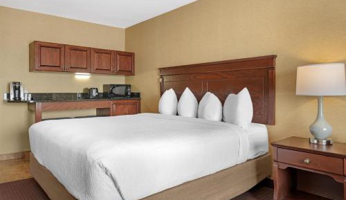 King Suite with Sofa Bed, Kitchenette, Sitting Area and Rain Shower - Non-Smoking
