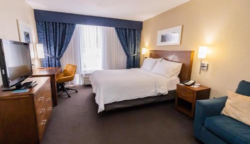 Suite with One Queen Bed, One Bunk Bed and Sofa Bed - Non-Smoking