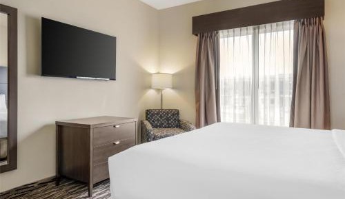 King Suite with Sofa Bed and Kitchenette - Non-Smoking